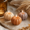 Maison-Lumea Automne 2026  Limited Fall Edition