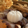 Maison-Lumea Automne 2026  Limited Fall Edition