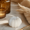 Maison-Lumea Automne 2026  Limited Fall Edition