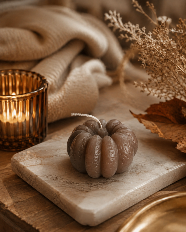 Maison-Lumea Automne 2026  Limited Fall Edition