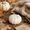 Maison-Lumea Automne 2026  Limited Fall Edition