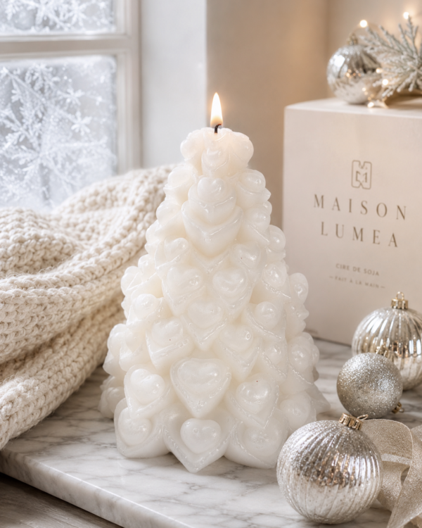 A0EC6931-A0AA-4CFD-B09F-16027C8573CB Maison-Lumea Cœur de Noël