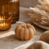 Maison-Lumea Automne 2026  Limited Fall Edition