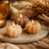 Maison-Lumea Automne 2026  Limited Fall Edition