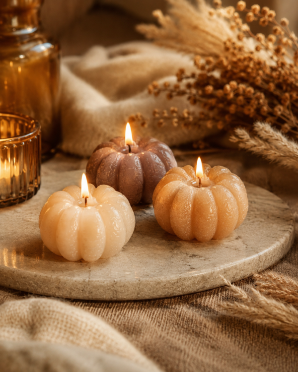 Maison-Lumea Automne 2026  Limited Fall Edition