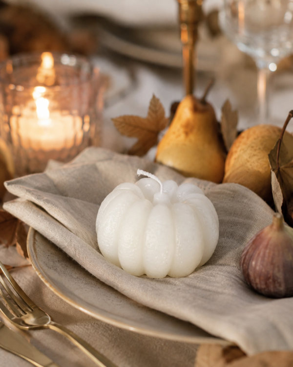 Maison-Lumea Automne 2026  Limited Fall Edition