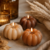 Maison-Lumea Automne 2026  Limited Fall Edition